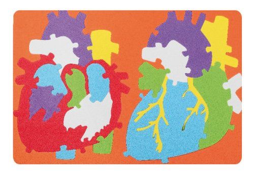 GOMA EVA FIXO KIDS PUZLE 23x32 cm. SISTEMA CARDIAC