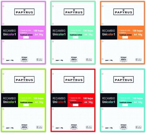RECAMBIO PAPYRUS UNICOLOR1 A4 100h 90g 4 TALADROS