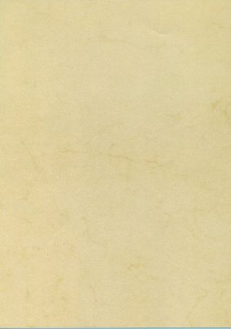 PAPEL HABANA A4 APLI  90g 100h