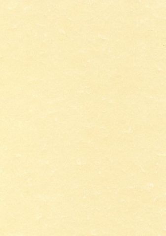 PAPEL PERGAMINO A4 APLI 95g 100h CHAMPAN