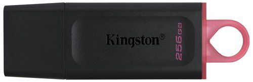 MEMORIA USB 256GB KINGSTON DTX/256GB 3.2 (Incluye