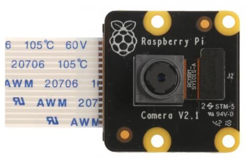 Raspberry Pi PiNoir Camera Module V2.1 Cámara Mult