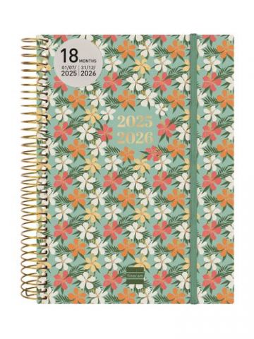 AGENDA ANUAL (2025-26) FINOCAM 18 MESES INTERNACIO