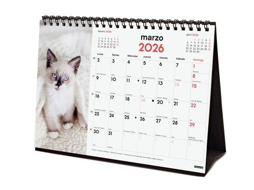 CALENDARIO (2026) FINOCAM SOBREMESA IMAGENES MENSU