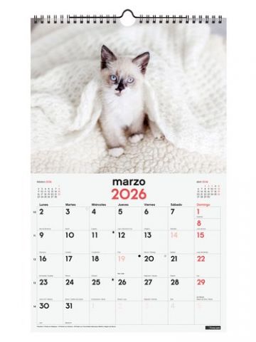 CALENDARIO (2026) FINOCAM PARED ESPIRAL IMAGENES M