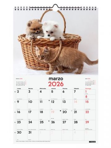 CALENDARIO (2026) FINOCAM PARED ESPIRAL IMAGENES M