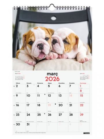 CALENDARI (2026) CATALAN FINOCAM PARET ESPIRAL IMA