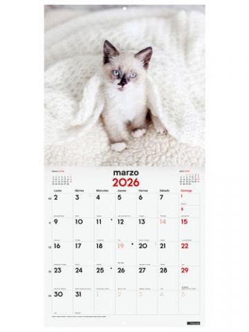 CALENDARIO (2026) FINOCAM PARED IMAGENES MENSUAL P
