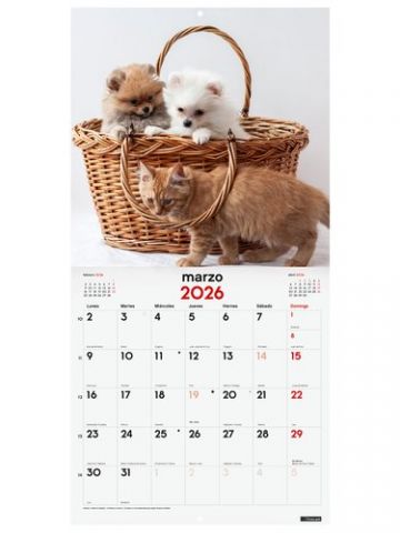 CALENDARIO (2026) FINOCAM PARED IMAGENES MENSUAL P