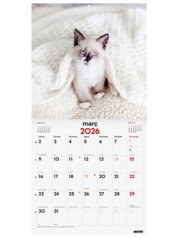 CALENDARI (2026) CATALAN FINOCAM PARET IMATGES MEN