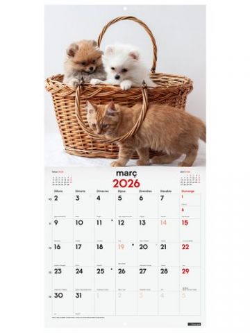 CALENDARI (2026) CATALAN FINOCAM PARET IMATGES MEN