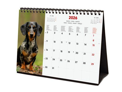 CALENDARIO (2026) FINOCAM INTERNACIONAL SOBREMESA