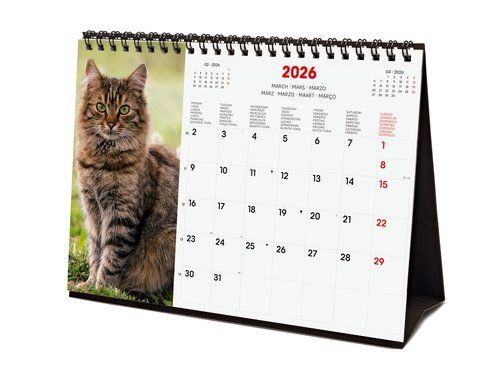 CALENDARIO (2026) FINOCAM INTERNACIONAL SOBREMESA