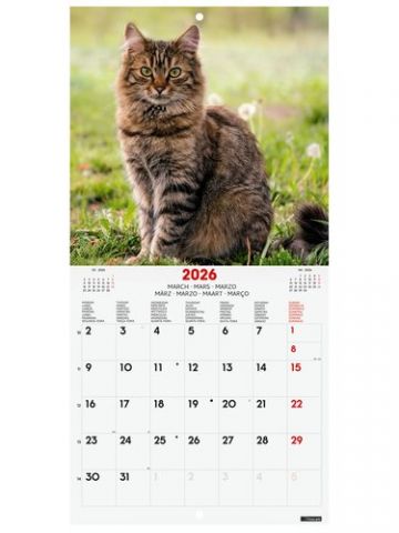 CALENDARIO (2026) FINOCAM INTERNACIONAL PARED IMAG