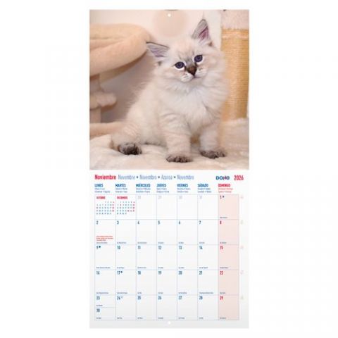 CALENDARIO (2026) DOHE PARED IMAGENES MENSUAL PARA