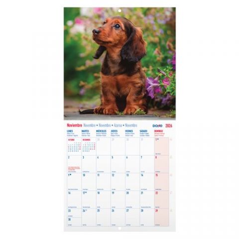 CALENDARIO (2026) DOHE PARED IMAGENES MENSUAL PARA