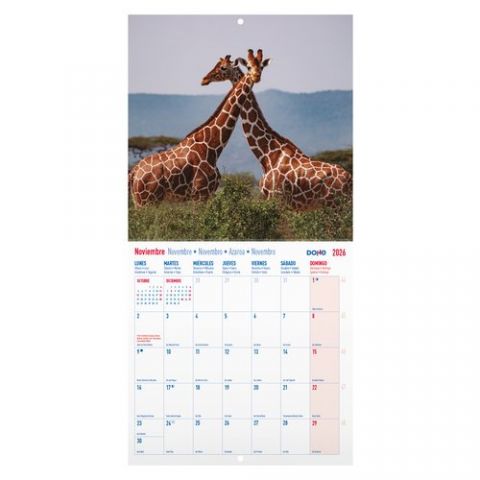 CALENDARIO (2026) DOHE PARED IMAGENES MENSUAL PARA